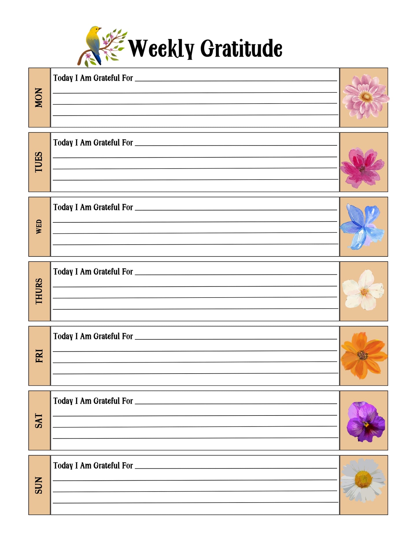 Gratitude Digital Journal