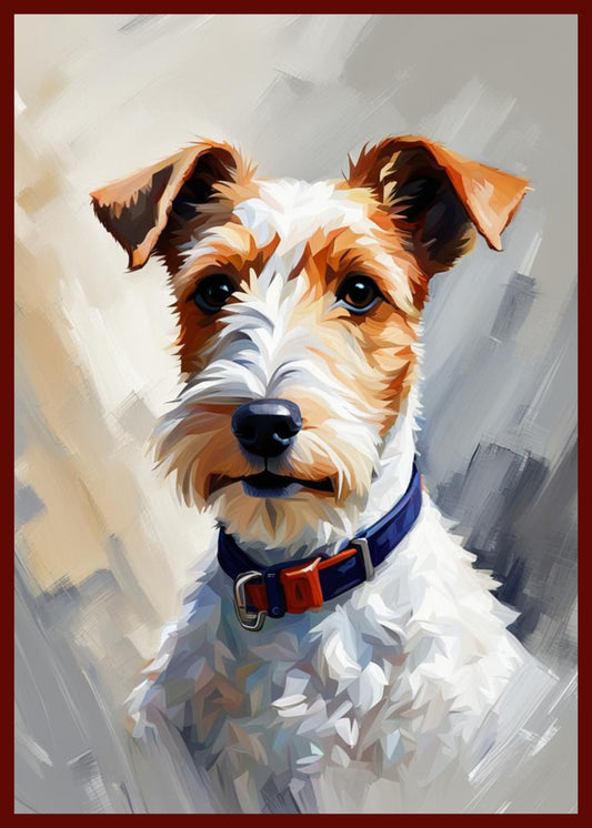 Fox Terrier. It is wearing a blue and red collar.