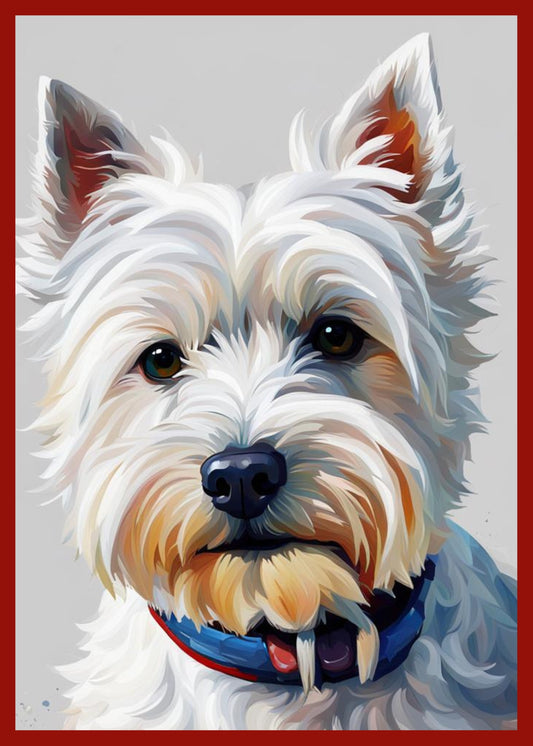 Small white West Highland Terrier. It is wearing a blue and red collar.